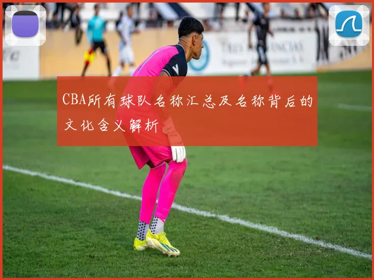 CBA所有球队名称汇总及名称背后的文化含义解析